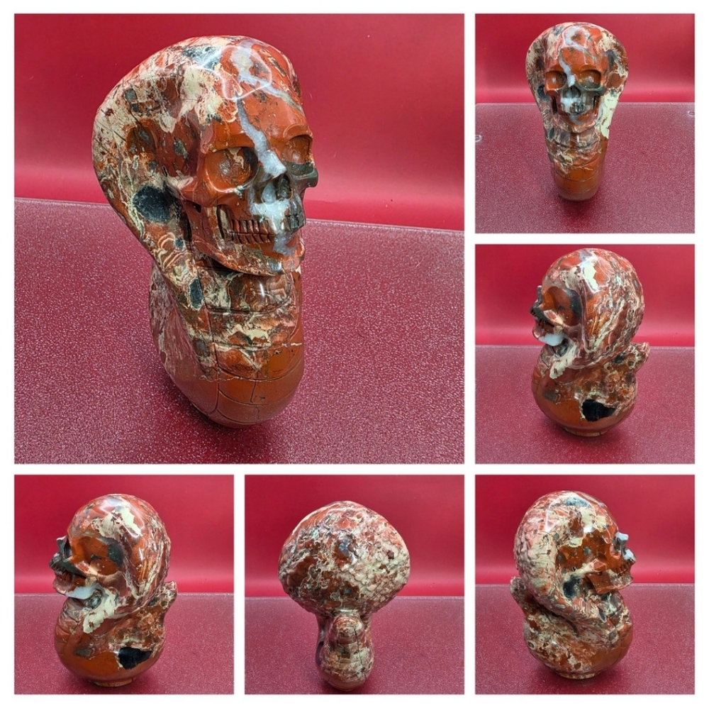 Natural Red Jasper Carved Crystal Cobra Snake Skull, Realistic, Healing 3+LB